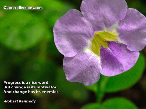 Robert Kennedy Quotes3